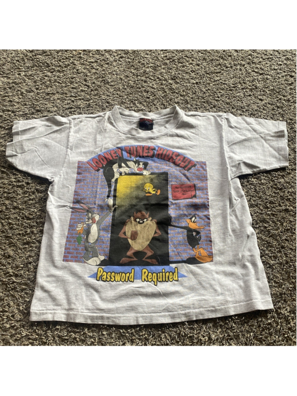 VTG Rare Warner Bros Looney Toons Hideout Tshirt YSize L /XL TAZ Single Stitch.